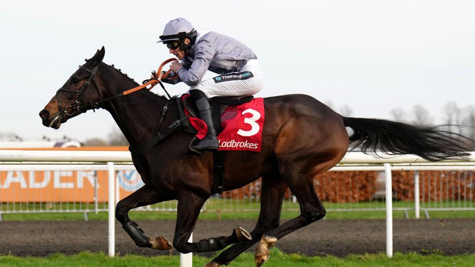 Il Est Francais - brilliant winner