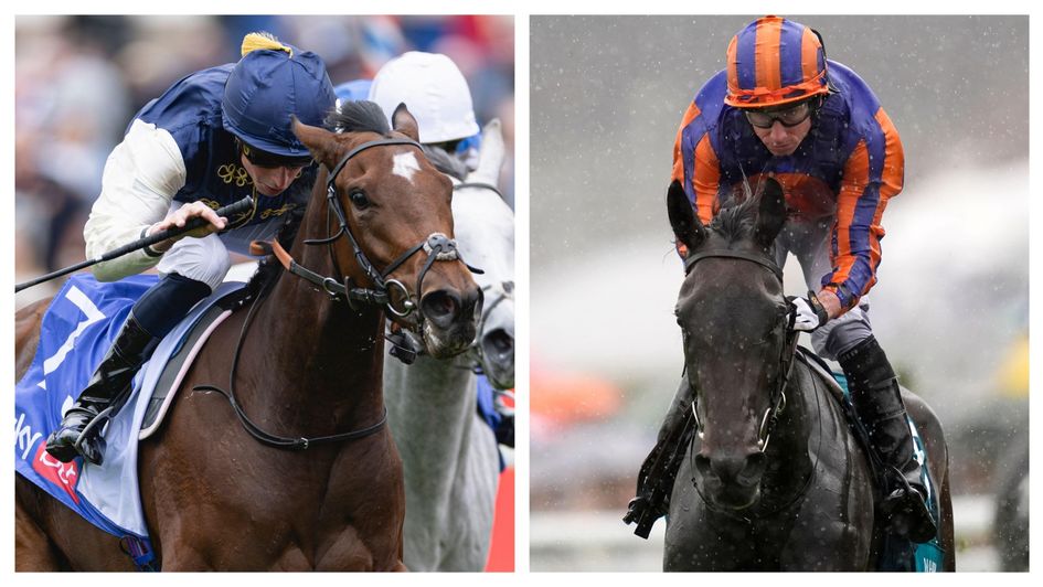 Royal Fixation and Whirl could be in for a fruitful autumn