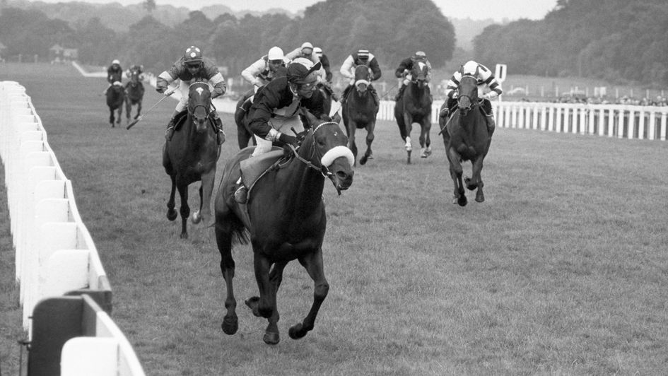 Mill Reef wins the 1971 King George