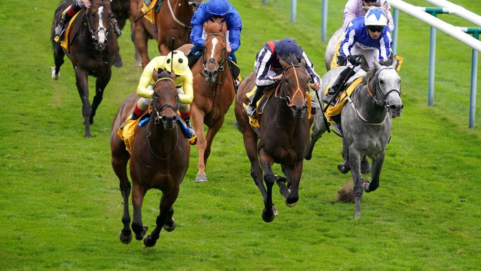 Emaraaty Ana wins the Betfair Sprint Cup