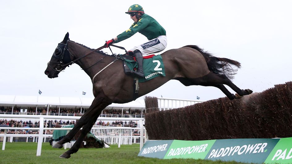 Stumptown jumps to victory at Cheltenham