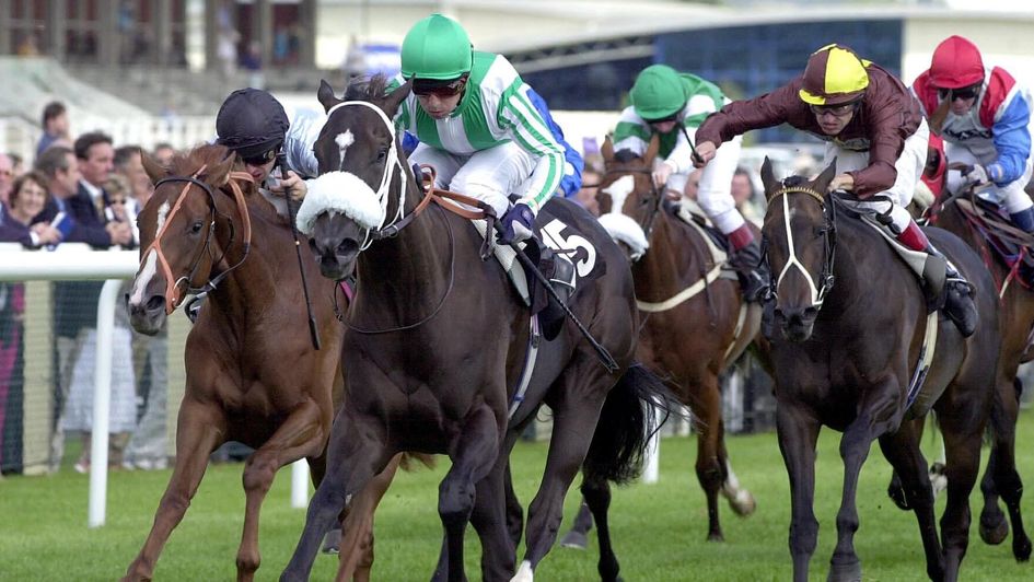 Swiss Lake winning at Newbury