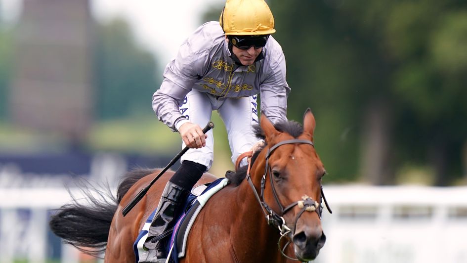 Lusail: Followed in his father's hoofprints