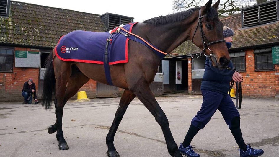 Ginny's Destiny looks in fine shape