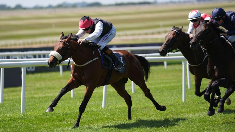 Porto Vecchio makes a winning debut