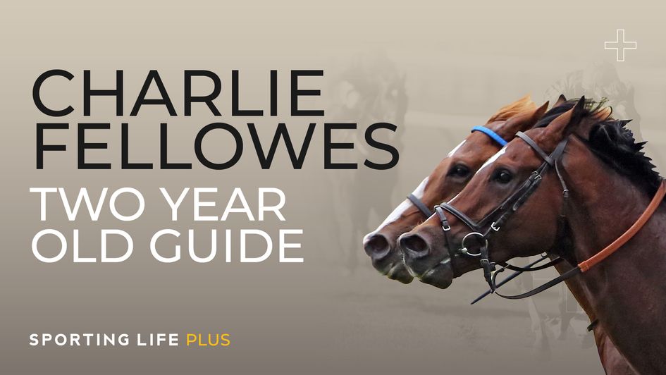 Dan Briden Two-Year-Old Guide - Charlie Fellowes
