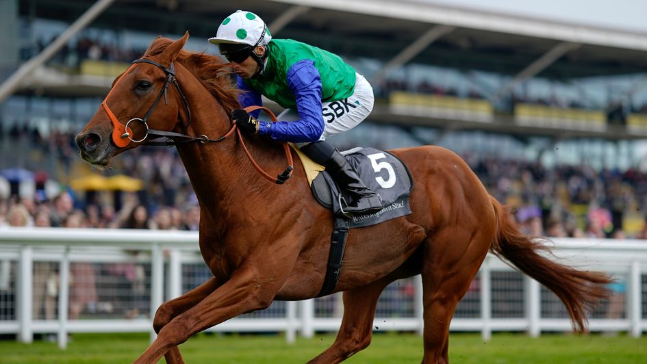 Isaac Shelby - bids for French Classic glory