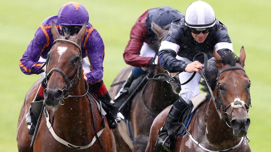 Wicklow Brave (l) and Rekindling