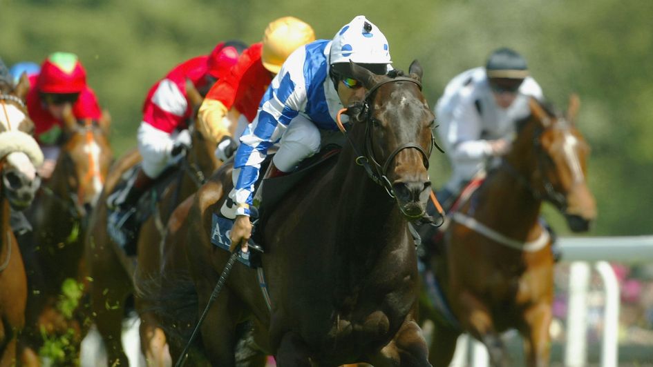 The Tatling in action