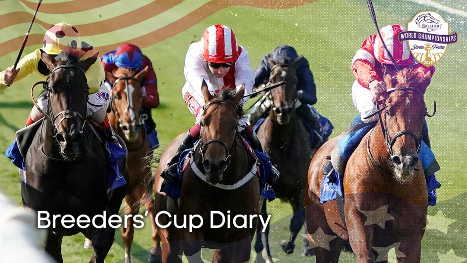 Breeders' Cup Juvenile Fillies Turf contender Daahyeh in action