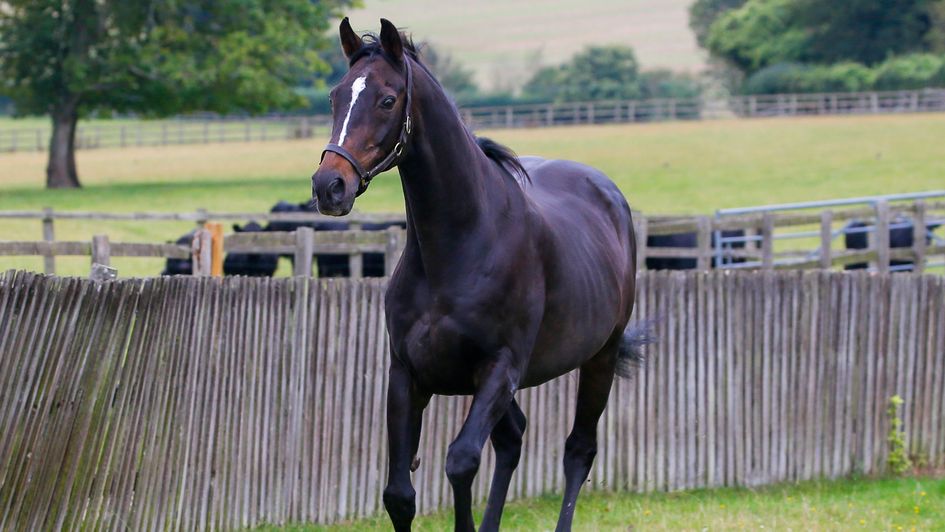 Celeric is happy in his retirement