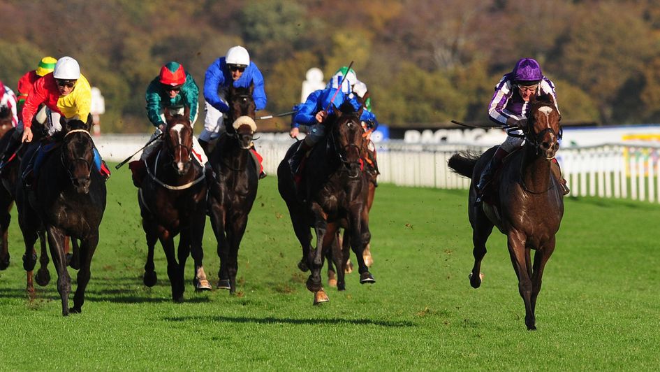 St Nicholas Abbey puts them to the sword