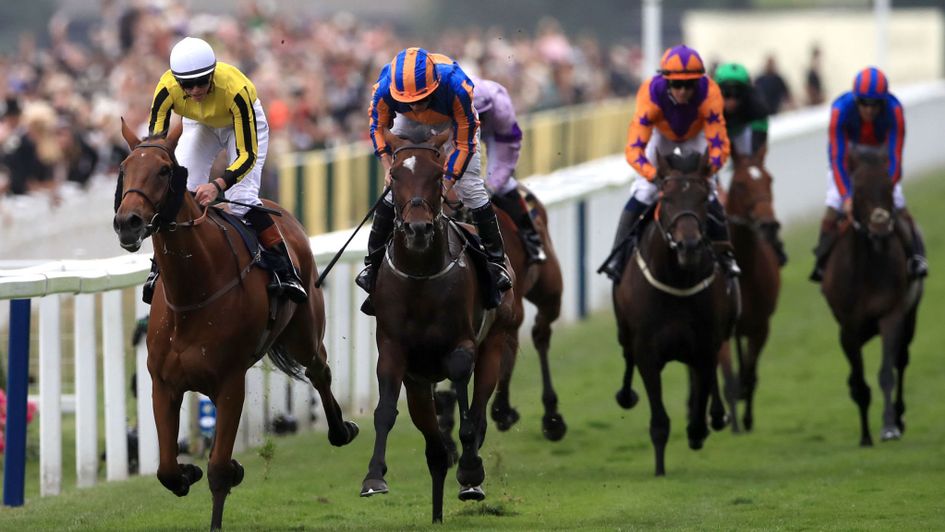 Big Orange fights off Order Of St George in the Gold Cup
