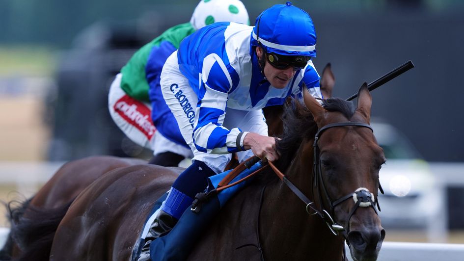 Royal Dubai wins at Newbury