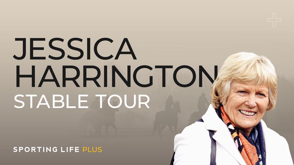 The latest from Jessica Harrington