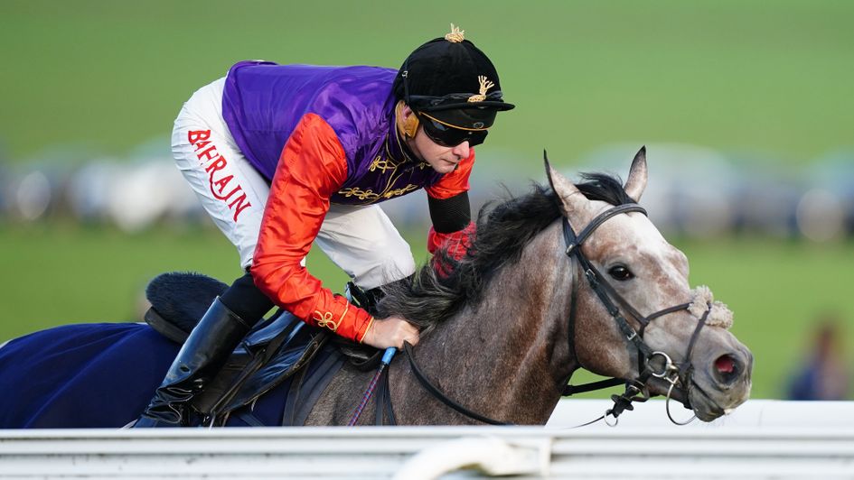Saga ridden by Robert Havlin on the gallops at Newmarket