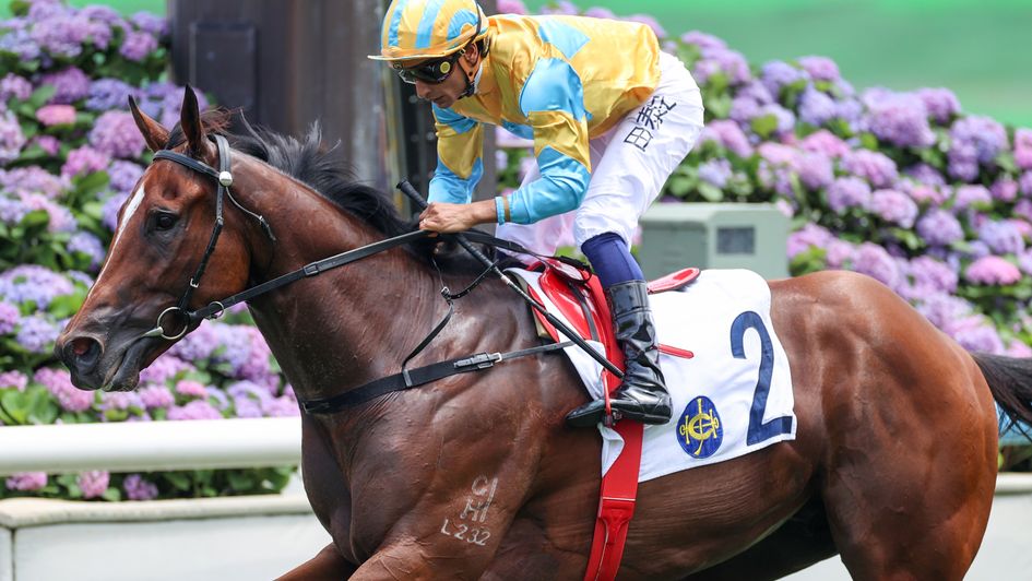 Mr Incredible bolts up under Karis Teetan