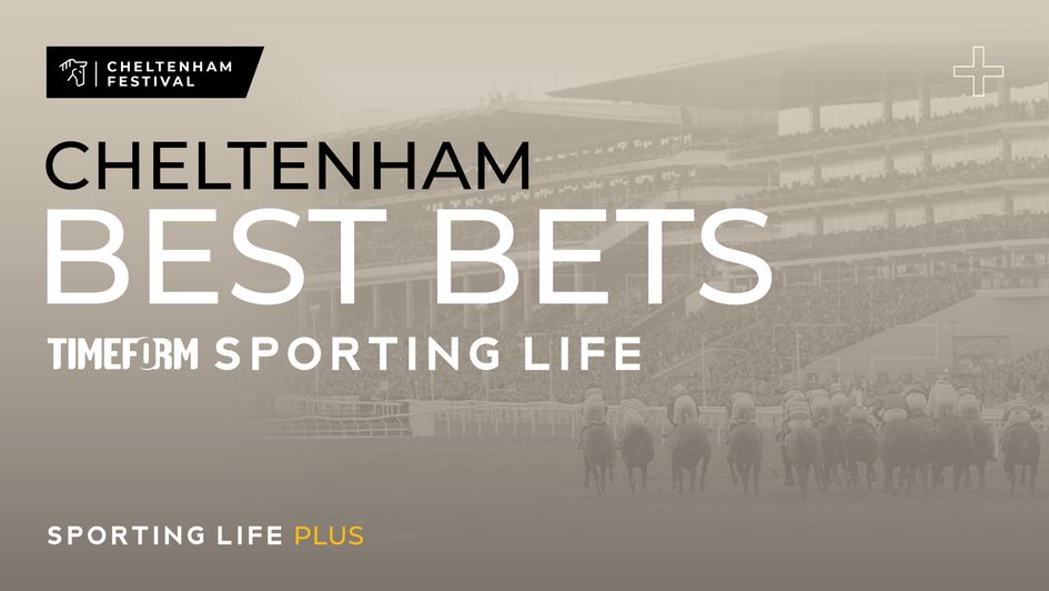 Experts from Timeform and Sporting Life nominate their best Cheltenham bets