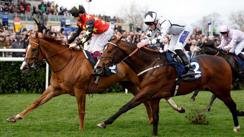 Montassib times it to perfection