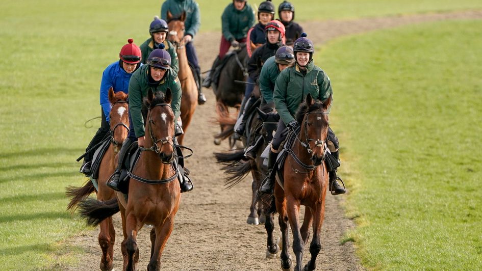 Horses exercising at Cheltenham on Sunday morning