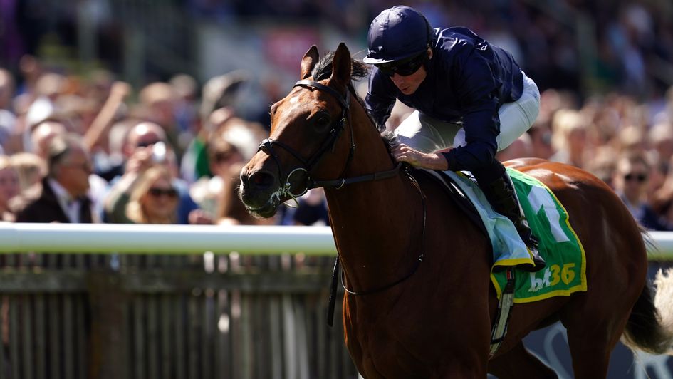 City Of Troy looks a magnificent prospect