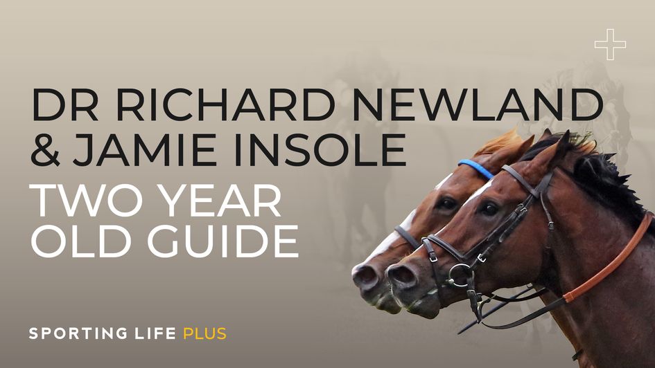 Two-Year-Old Guide: Jamie Insole