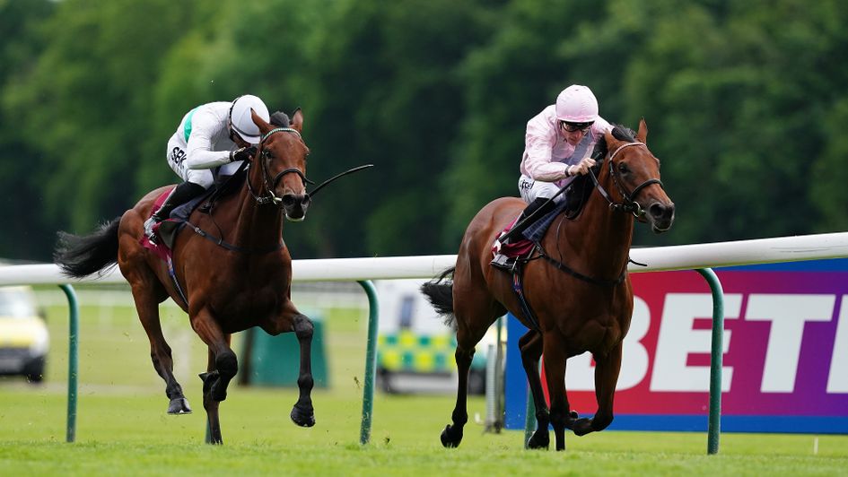 Darmoiselle was Dar Re Mi's seventh winner from eight runners