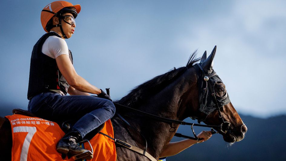 A quiet moment before Thursday’s Sha Tin trackwork