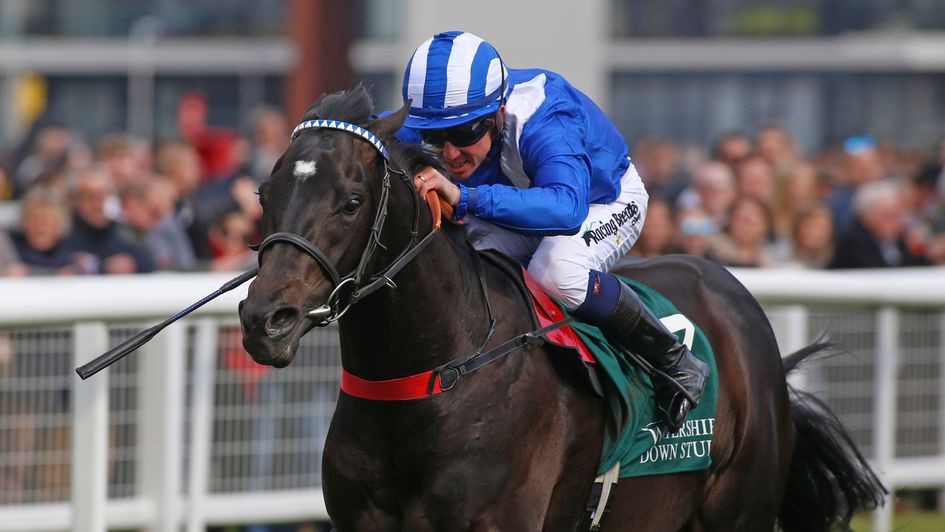 Mohaather - favourite for the Summer Mile