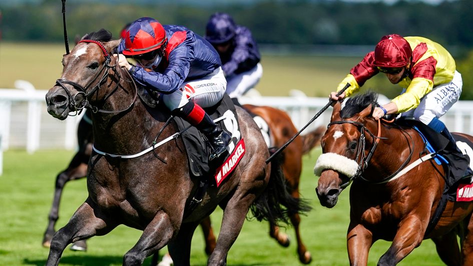 Steel Bull finishes with a kick