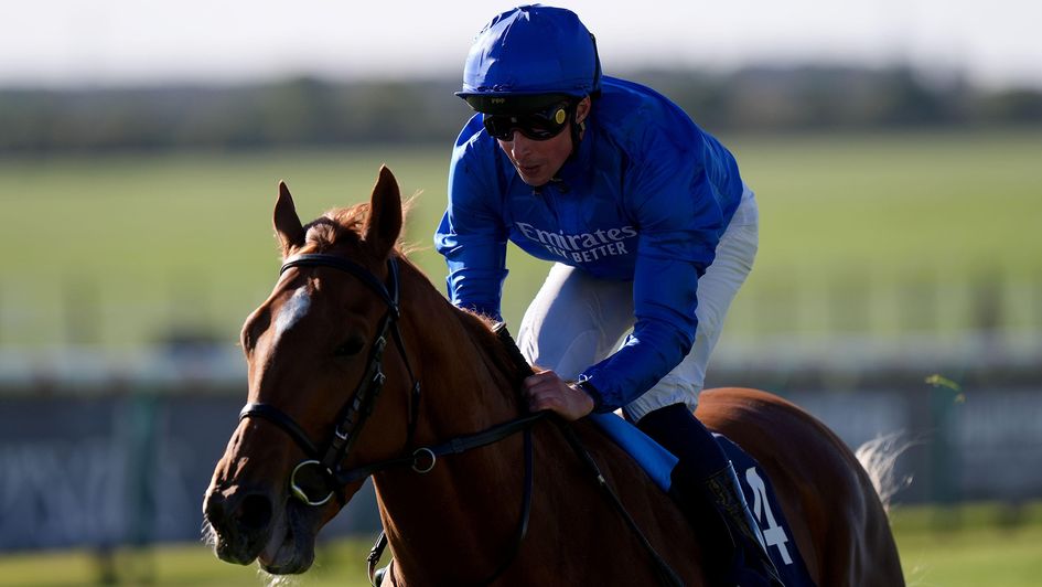 Distant Storm is a worthy favourite for the Dewhurst