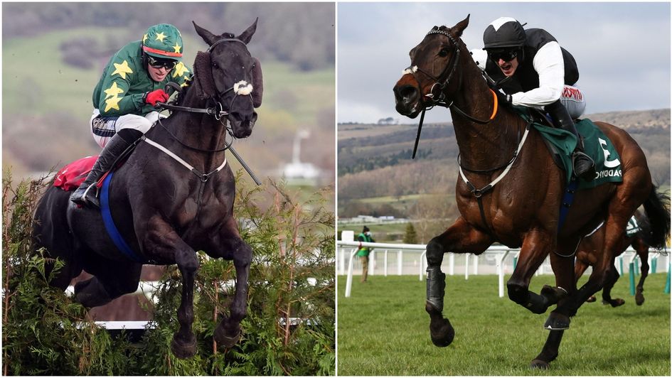 Stumptown and Flooring Porter