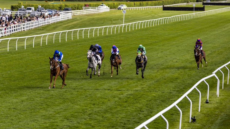 Lingfield - two Monday races abandoned