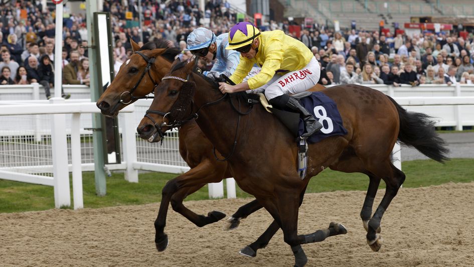 My Oberon just holds on at Newcastle