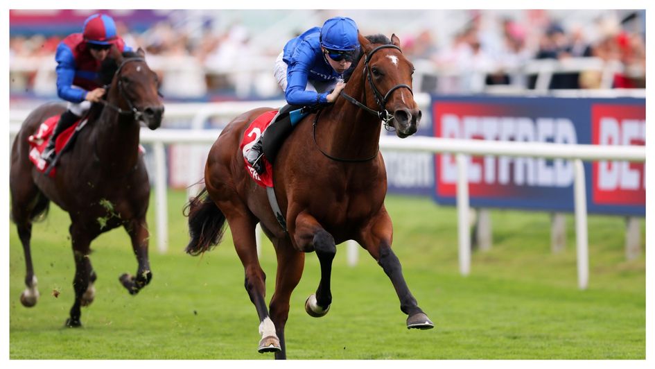 Desert Castle saunters to the Champagne Stakes