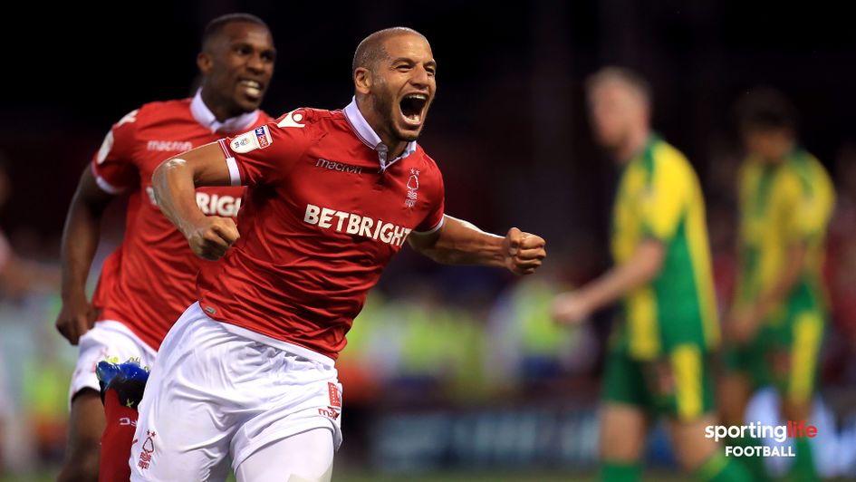 Adlene Guedioura celebrates his goal against West Brom