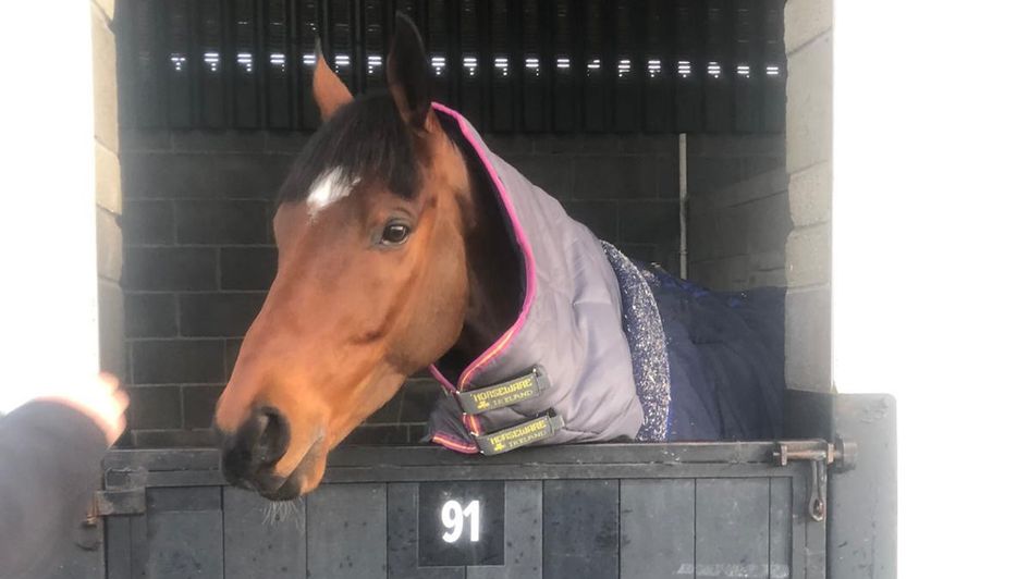 Tiger Roll at home on Tuesday morning