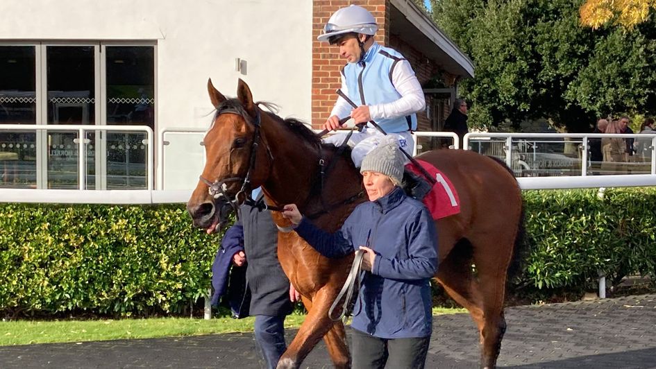 Miss Marble returns after winning at Kempton