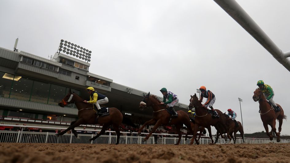 Action from Wolverhampton racecourse