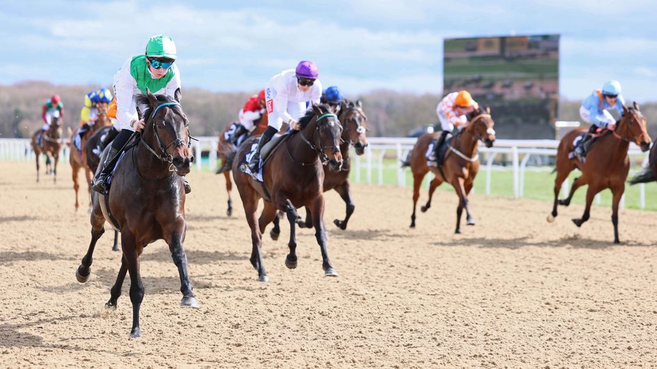 Al Najashi wins under Billy Loughnane