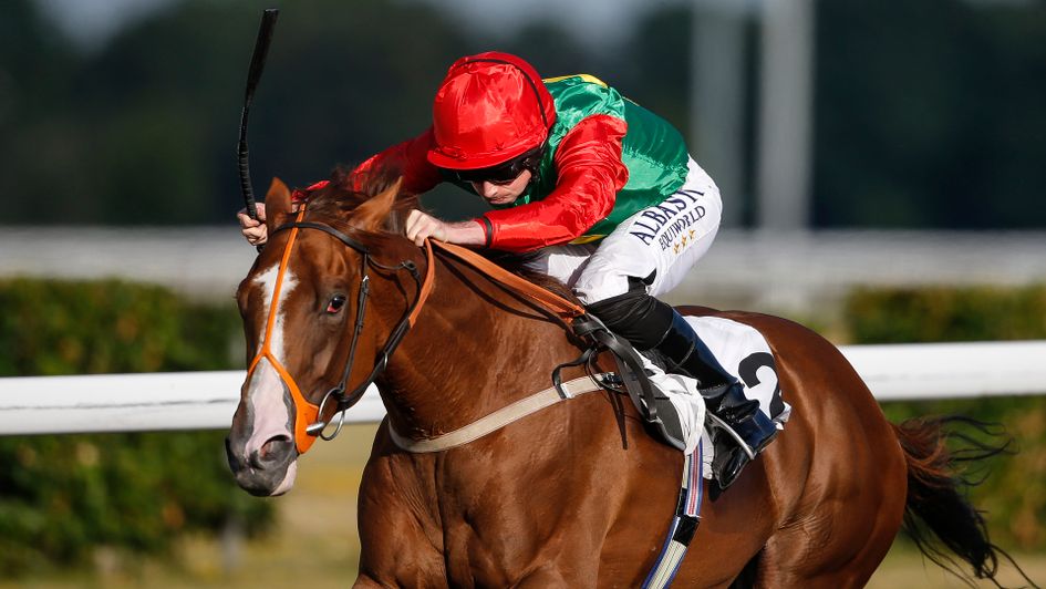 Billesdon Brook: Should win again soon