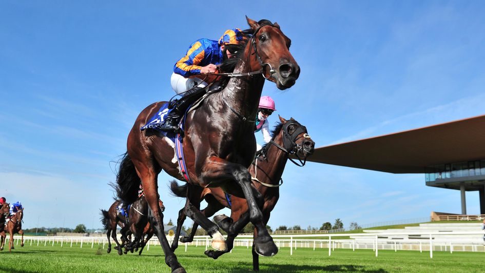 Van Gogh strikes for the Ballydoyle team