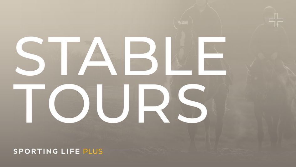 Cheltenham Festival 2026 Stable Tours