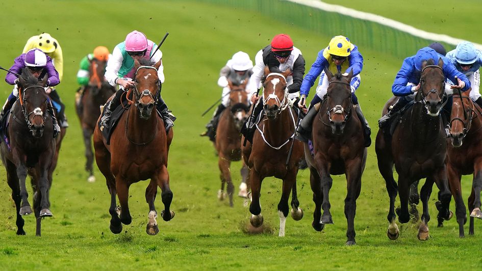 Mount Teide (third right, yellow cap, blue spots)