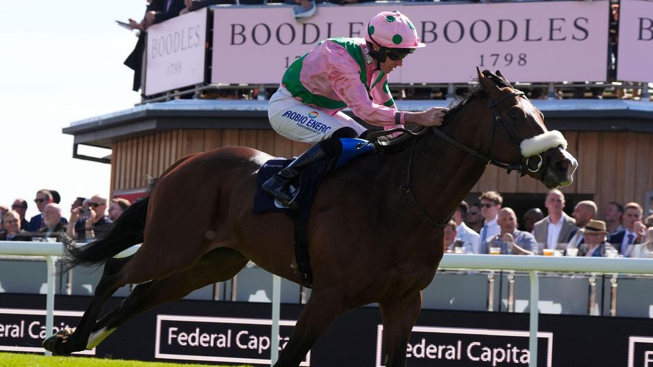 Hammer The Hammer routs his rivals