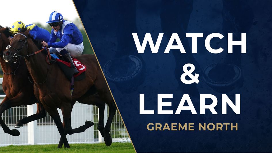 Hukum beats Desert Crown at Sandown