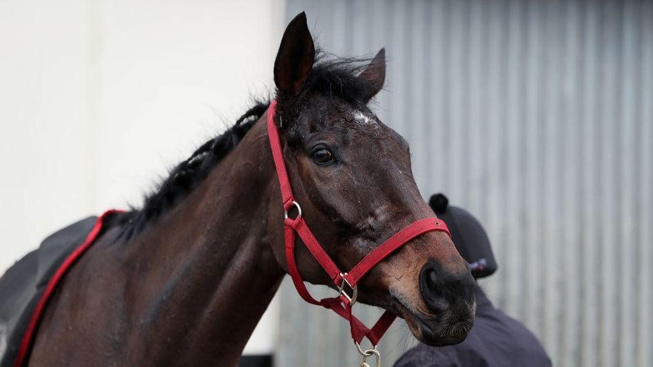 Leading novice hurdler Klassical Dream