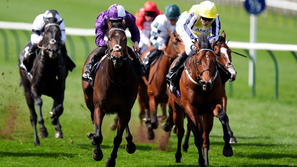 Sovereign Spell (purple) won a race often worth following
