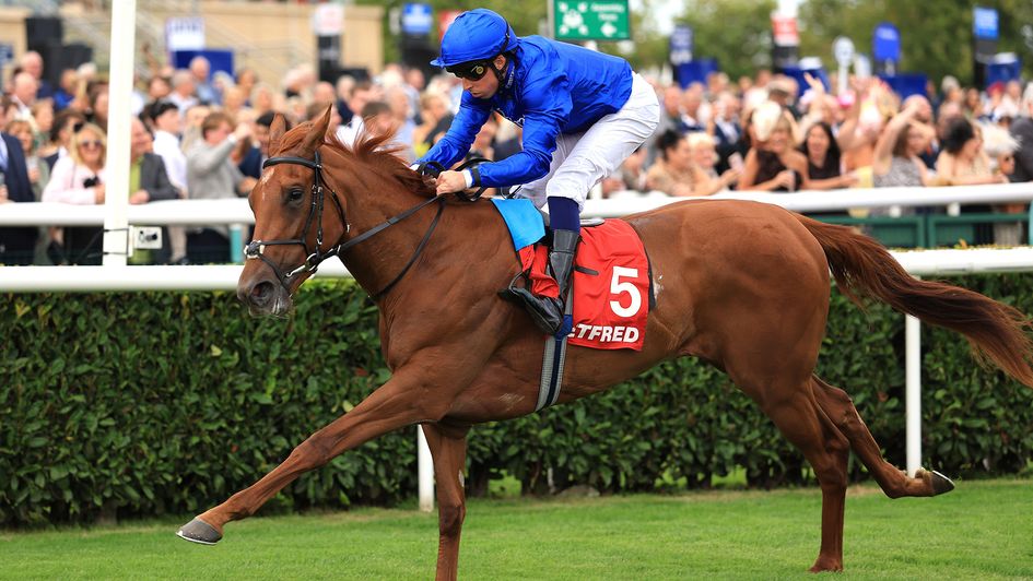 Musical Times is a short price to remain unbeaten this Friday