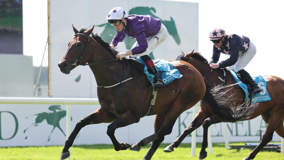 Bucanero Fuerte wins under David Egan